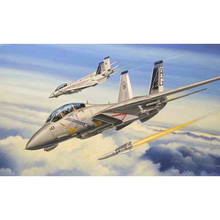 F-13B plastic plane model Tomcat 1/72 | Scientific-MHD